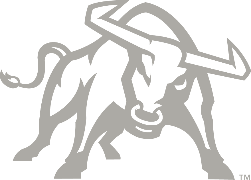 Utah State Aggies 2012-Pres Alternate Logo v4 diy iron on heat transfer...